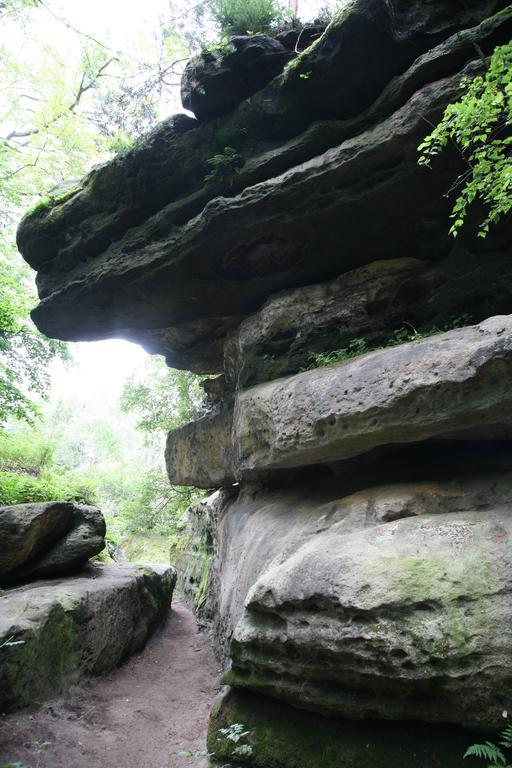 Landpension Bielatal - Raum 외부 사진