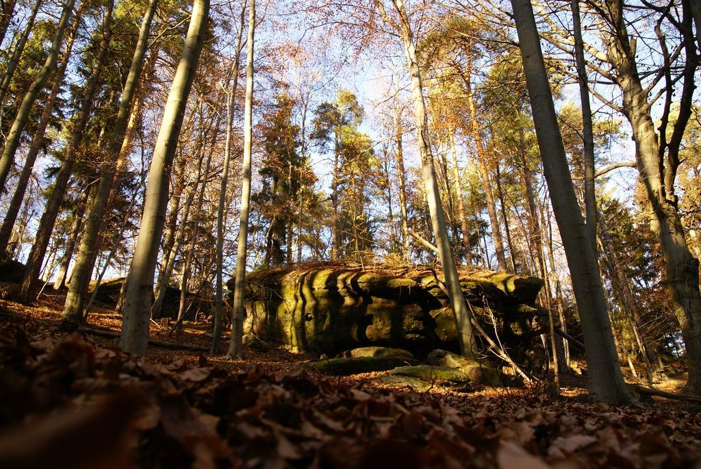 Landpension Bielatal - Raum 외부 사진